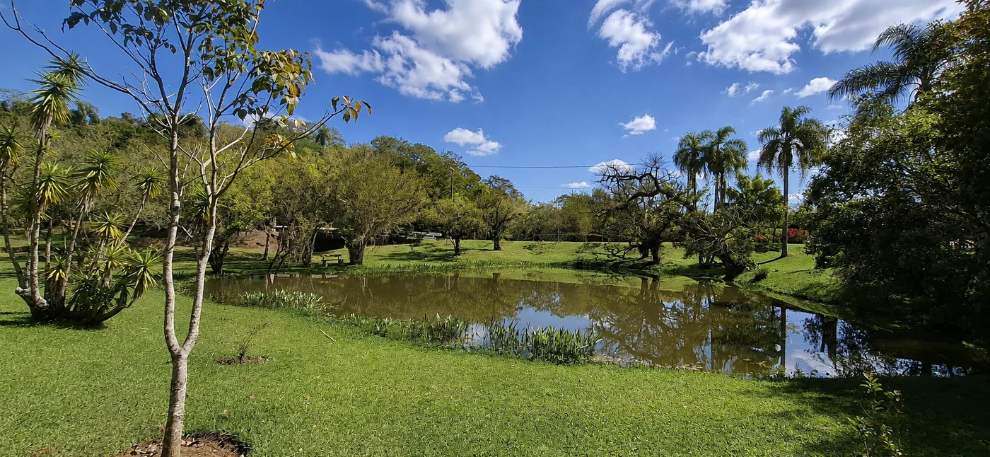 Árvores e gramado junto ao lago do Patrimônio do Carmo