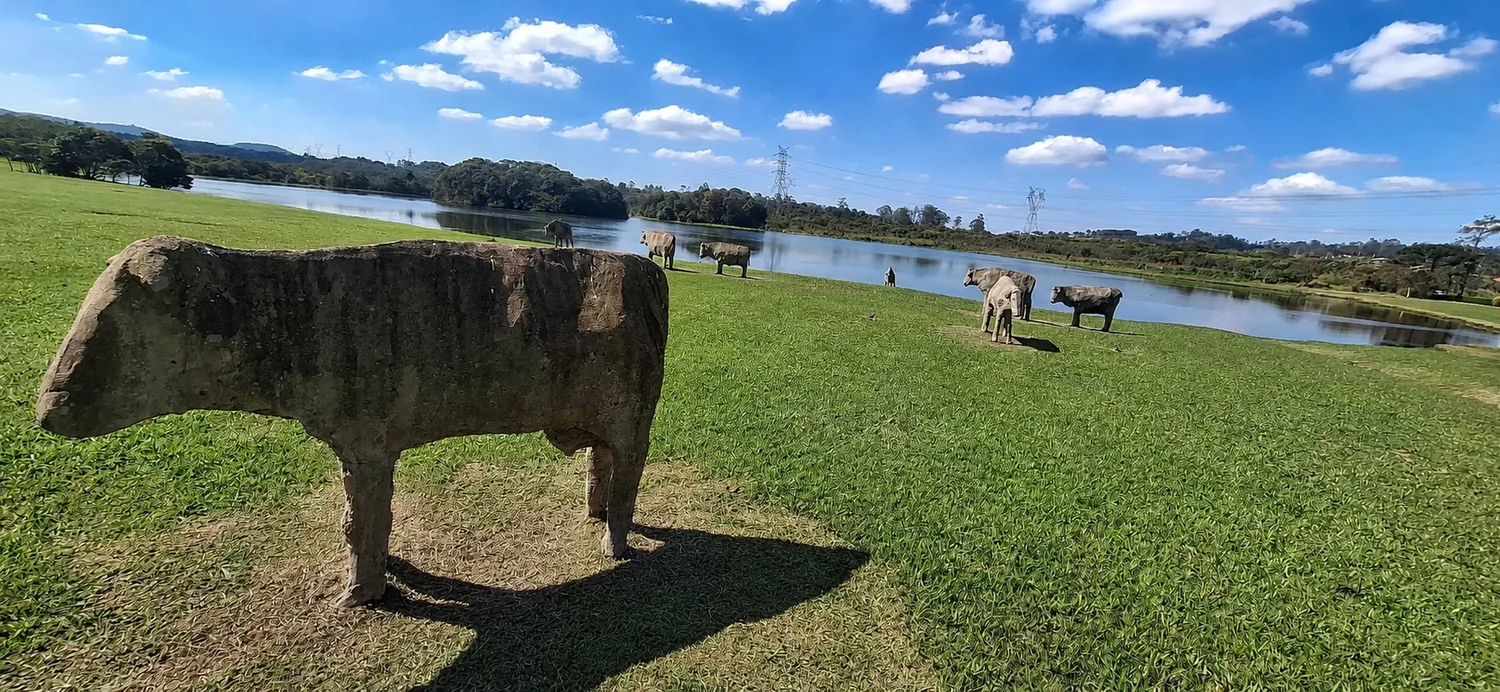 Esculturas das Vacas de Pedra no gramado à beira do lago do Patrimônio do Carmo